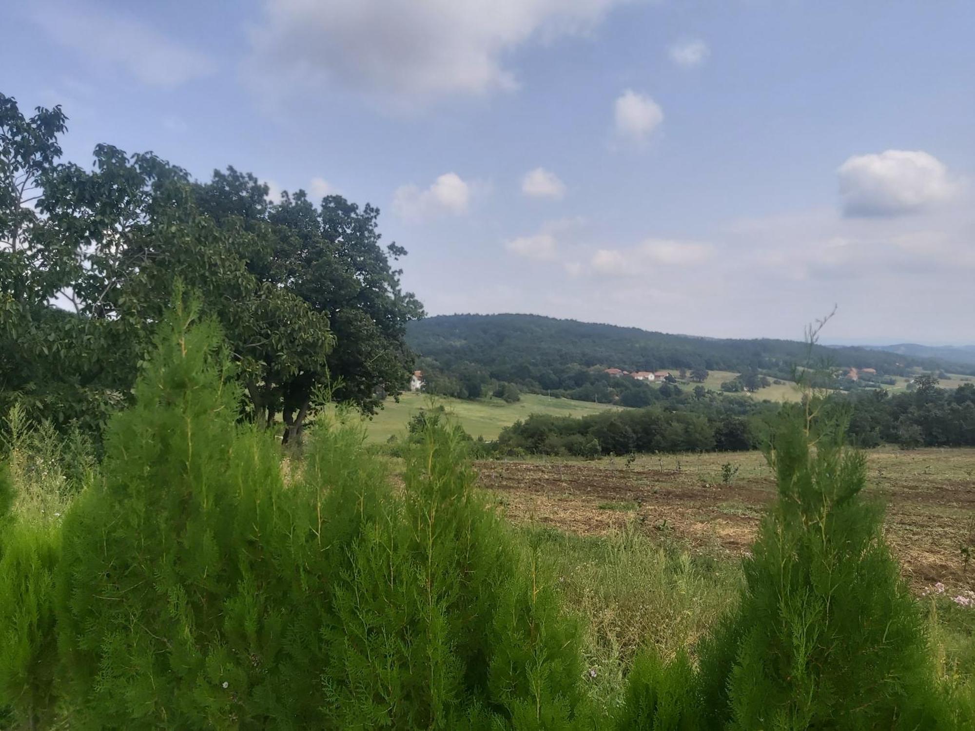 Vila Boba Bor Zlot 객실 사진